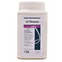 ROMEO