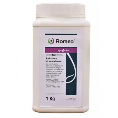 ROMEO