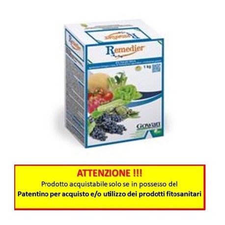 REMEDIER