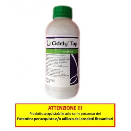 CIDELY TOP