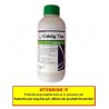 CIDELY TOP