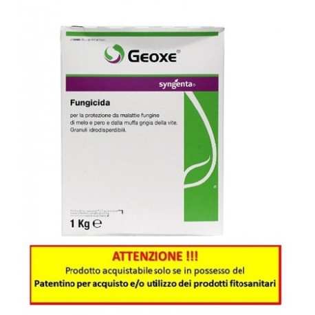 GEOXE