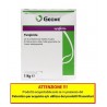 GEOXE