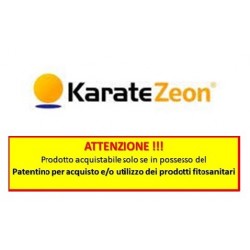 KARATE ZEON