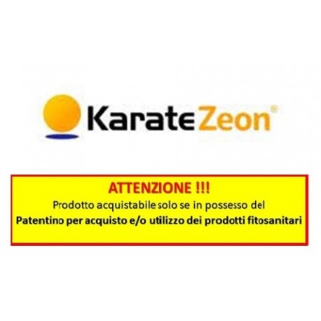 KARATE ZEON