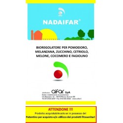 Nadaifar