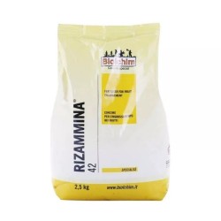 RIZAMMINA 42
