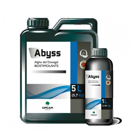 ABYSS